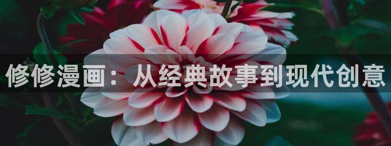 漫蛙漫画背景图怎么换：修修漫画